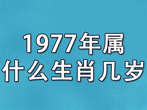 1977属什么 hongkongav